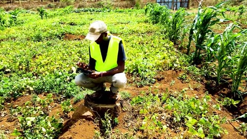 Rural agricultural farms in Kenya. Drone pilot land survey. Smart Agriculture technology.