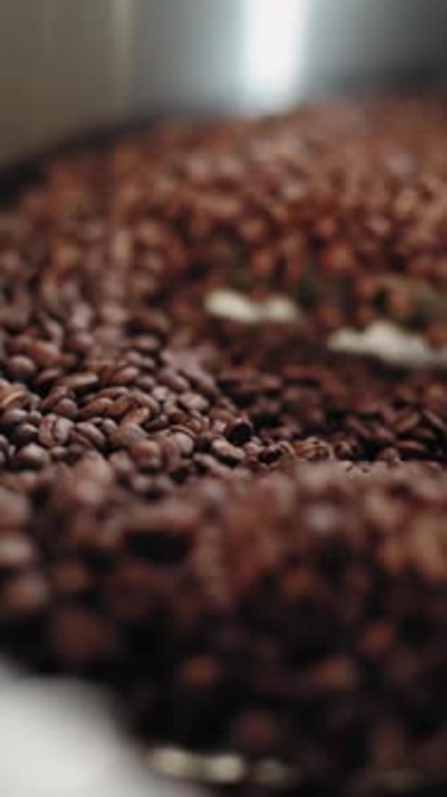 Coffee Beans Turning in Roasting Drum, View