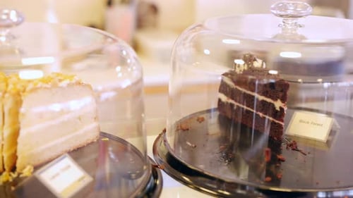A single slice of Black Forest cake gateau under a glass dome, surrounded by crumbs on a nearly empt