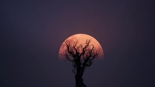 Stylized Twisted Tree Silhouette with Blood Moon and Stars Animation