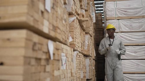 Inspektor untersucht gestapelte Holzpaletten im Holzlager