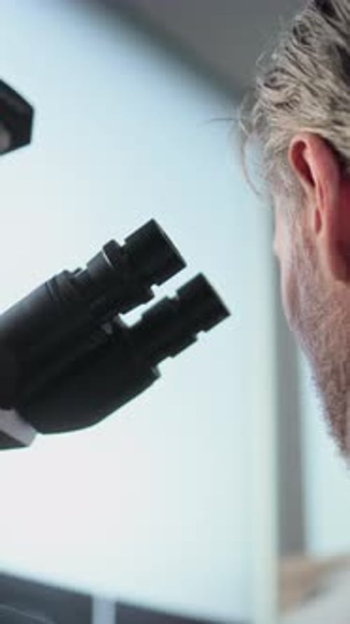 Vista aproximada de um cientista maduro analisando amostra fóssil sob microscópio