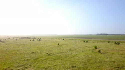 Vibrant Green Pasture with Cars Driving