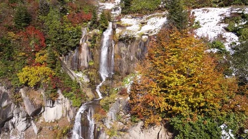Bosque de otoño y cascada