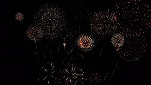 Colorful Fireworks Celebration Display with Alpha Channel