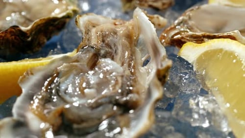 Fresh Raw Oysters with Ice French Restaurant Mediterranean Healthy Sea Food Gourment Luxury Cuisine