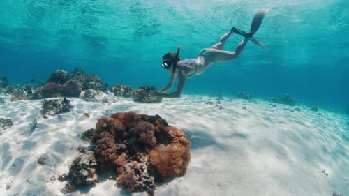 Female Freediver in Bikini Swims Underwater in the Tropical Sea and Glides Over the Reef