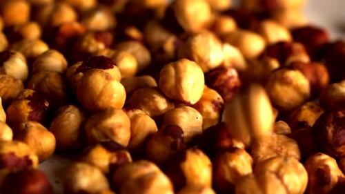 Golden Brown Hazelnuts Falling onto Pile