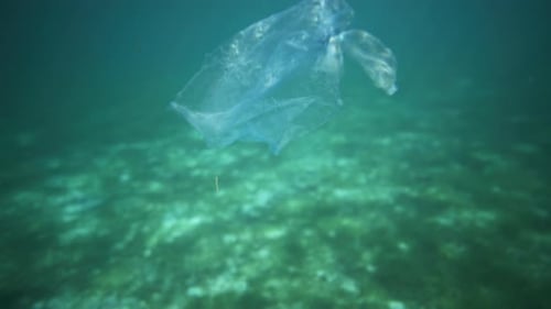 Plastiktüte, die im kristallklaren Wasser schwimmt, mit Lichtreflexen, die aus dem Wasser aufgenommen wurden