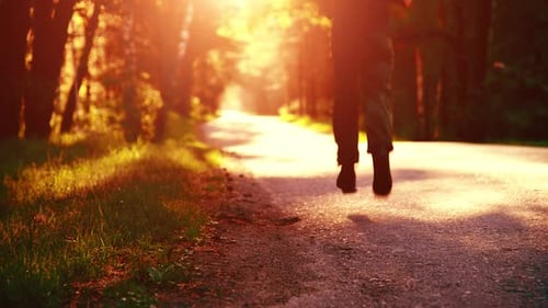 Sport Man Running at Asphalt Road Rural City Park Green Tree Forest and Sun Rays on Horizon