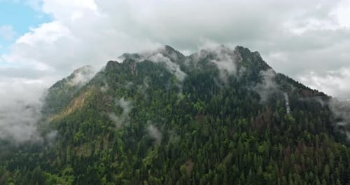 Aerial View of the Nature Landscape of Alpine Forests
