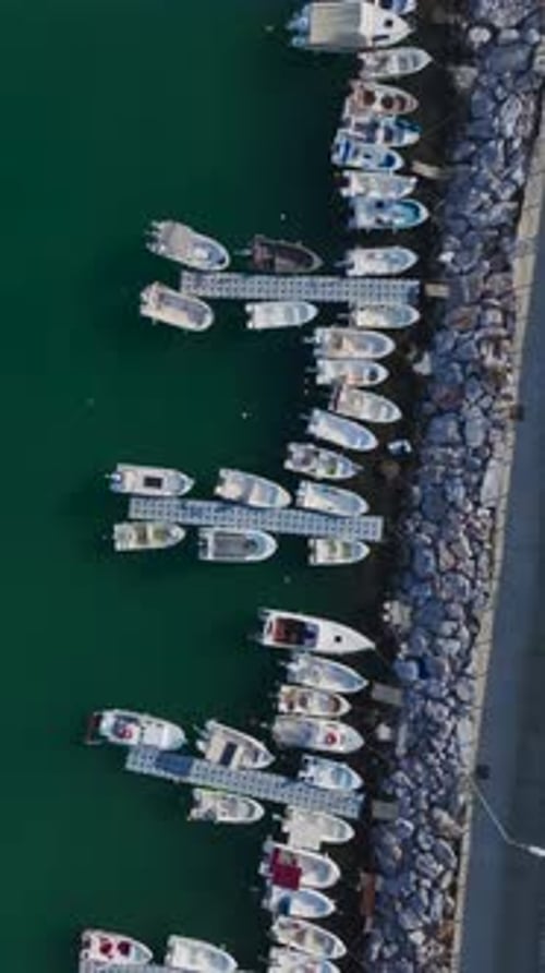Vertical Video of a Beautiful Marina With Luxury Yachts and Tourist Boats Captured From a Drone With