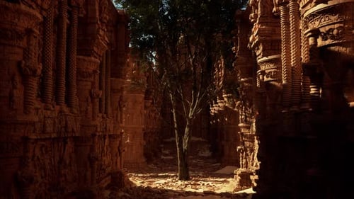 Un arbre au milieu d'une ruelle étroite