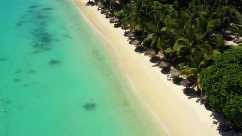 Aerial drone shot in sunny day time. Close up fly over palm trees mangrove forest and beautiful beac