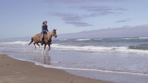 Beautiful women riding horses on a golden beach in slow motion