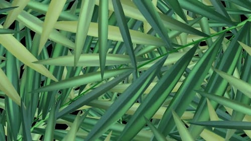 Green Leaves Nature Animated Transition Overlay