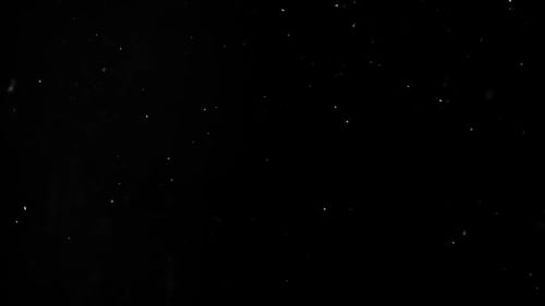 Dust Particle