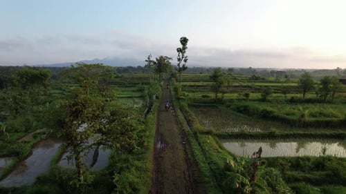 Aerial View Village in Indonesia, Slogohimo Wonogiri Central Java
