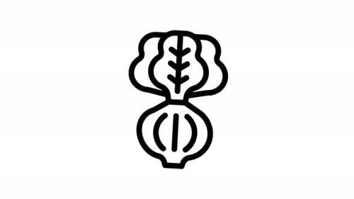 lettuce line icon animation