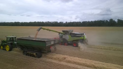 Combine en el campo cosechando trigo