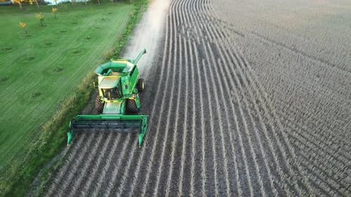 Ein Landwirt erntet im Nordosten von Wisconsin Sojabohnen. Luxemburgh, WI, Vereinigte Staaten
