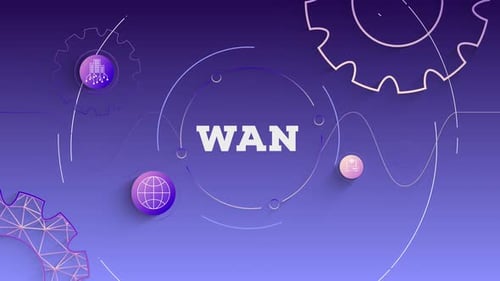 Infographie Wan Purple Background Looped