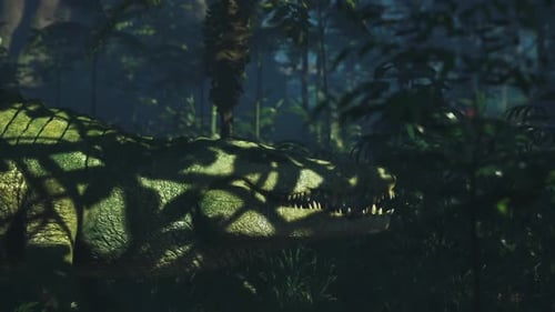 Crocodile tapi dans l'ombre d'une forêt tropicale dense au crépuscule