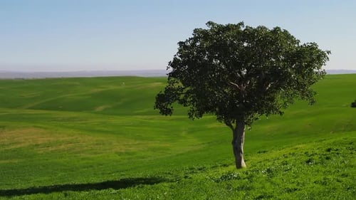 Photo aérienne de Ruhama Badlands par une journée ensoleillée