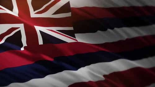 Realistic Waving Hawaii State Flag