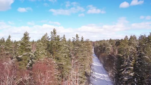 Luftbild einer Drohne, die im Winter über eine Waldstraße fliegt. Das Auto fährt auf einer verschneiten Straße