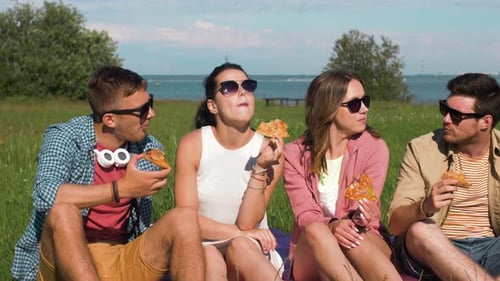 Friends enjoy picnic, sitting and eating pizza
