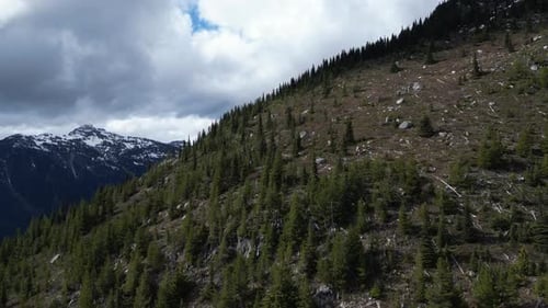 Canadian Nature Landscape. blue sky and clouds. British Columbia, Canada.