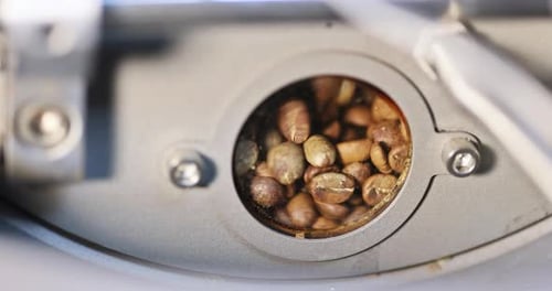View of Raw Coffee Beans Through Control Window of a Coffee Roasting Oven