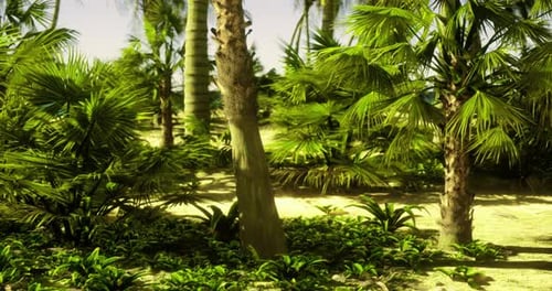 Slow Panning Shot Through Lush Tropical Jungle