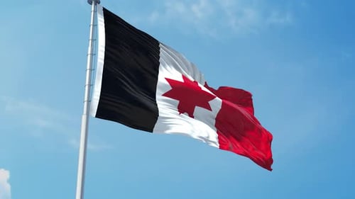 Realistic Black White Red Flag with Red Star Waving