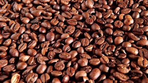 Coffee Beans Background Texture of Coffee Beans Close Up Dark Brown Roasted Coffee is Spinning