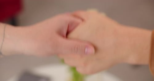 Affectionate Hand Clasp Between Two People