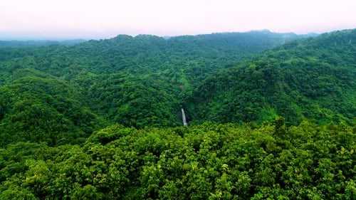 A picturesque view of a green forest in the mountains, with a waterfall visible in the distance.