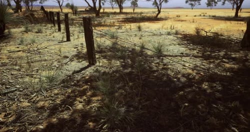 Dry Landscape with Barbed Wire Fence in a Remote Area During Midday