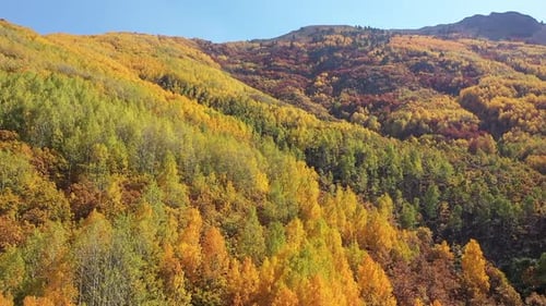 Vue aérienne des forêts colorées sur les collines en automne