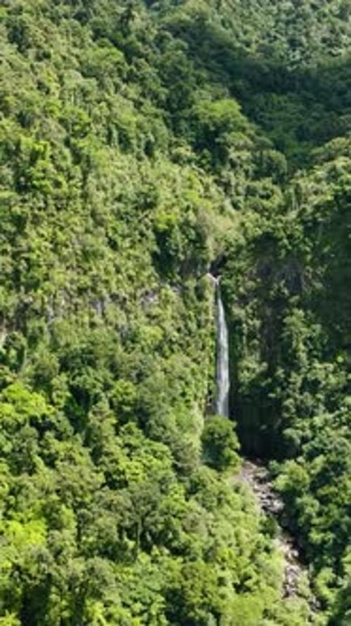 A Tropical Waterfall in the Jungles