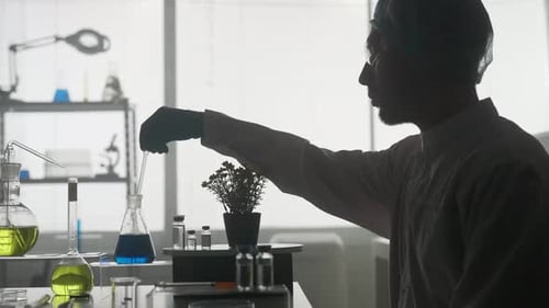 A Scientist Works in the Laboratory A Man Uses a Pipette to Add a Blue Chemical to a Potted Plant