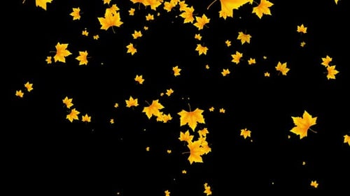 Falling Golden Autumn Maple Leaves Animation Loop