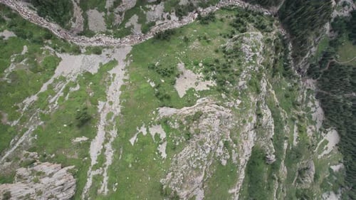 Drone View of a Green Gorge with High Rocky Cliffs
