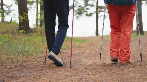 Hiking Tourism Adventure Senior Couple Man Woman Enjoying Outdoor Recreation Hiking in Forest Happy