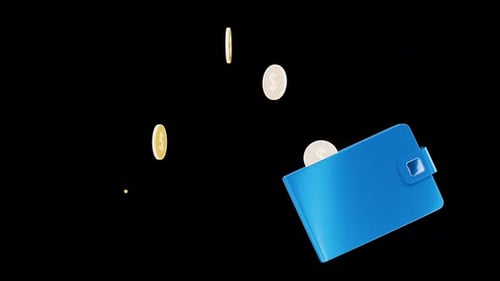 Cash back. Coins fall into a wallet Animation on a transparent background. Income. Payment. Money tr