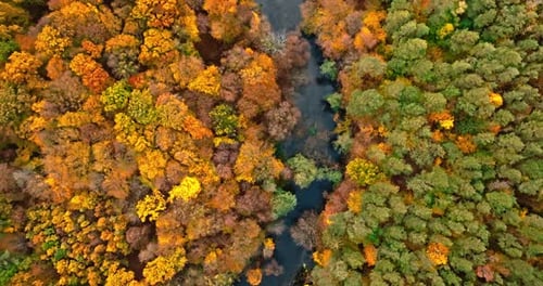 Top down view of forest and river in autumn.