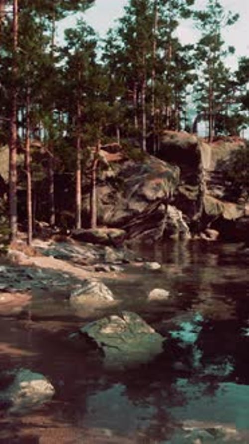 River Flowing Through Dense Forest