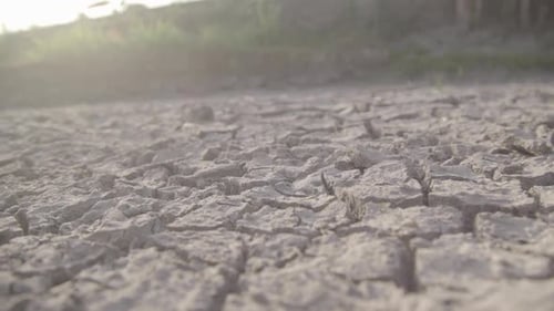 Cracked Earth Reveals Drought Devastation at Sunrise