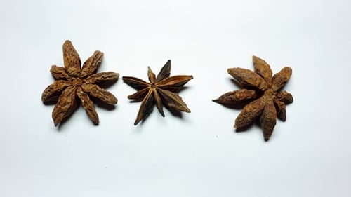 fresh isolated star anise close up on white background studio shot